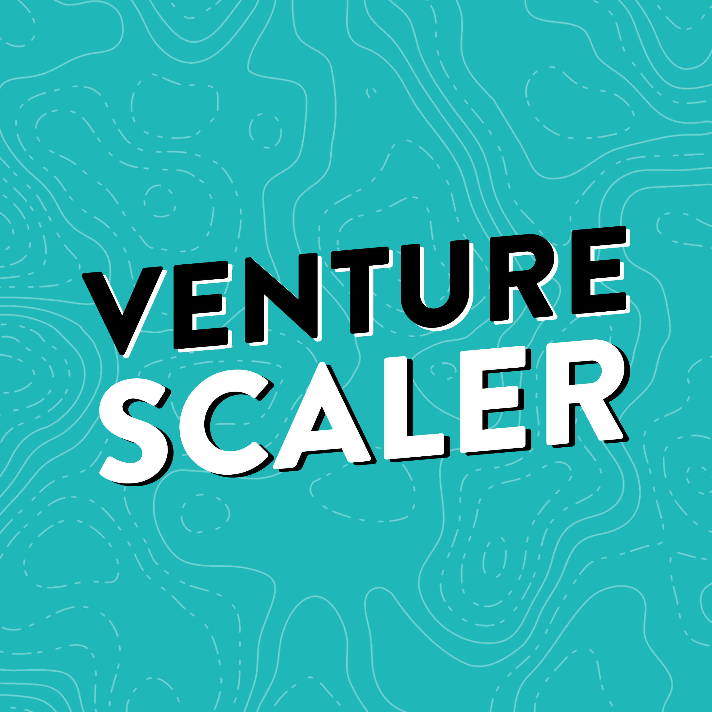 Venture Scaler